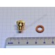 Screw for oiler M 6, brass